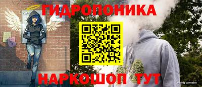 Альфа ПВП Аша