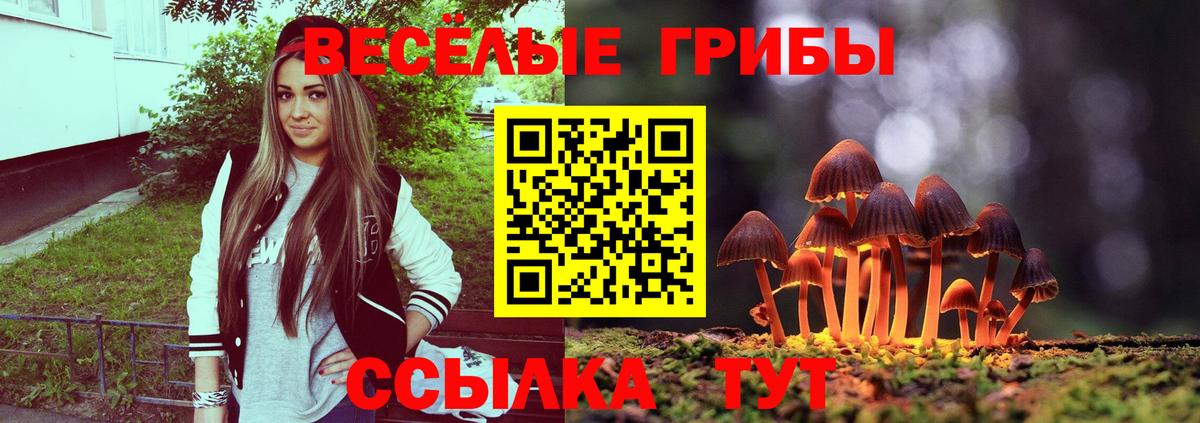 Псилоцибиновые грибы мицелий  Вход с VPN  хочу   Карабулак  Псилоцибиновые грибы прущие грибы 